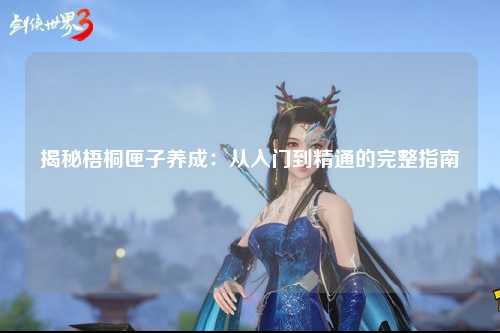 揭秘梧桐匣子养成：从入门到精通的完整指南