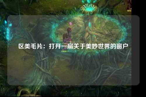 区美毛片：打开一扇关于美妙世界的窗户