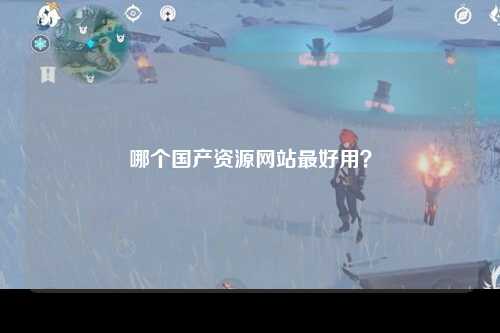 哪个国产资源网站最好用？