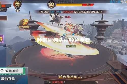 呼啦圈狗头视频免费看