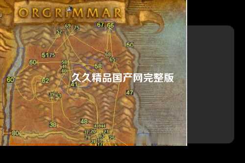 久久精品国产网完整版