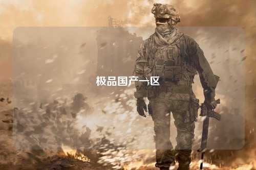 极品国产一区