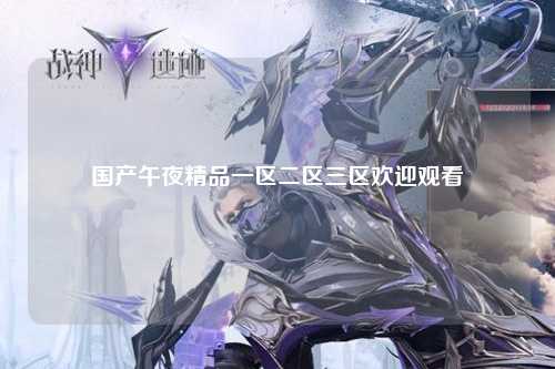 国产午夜精品一区二区三区欢迎观看
