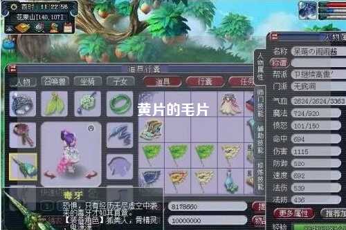 黄片的毛片