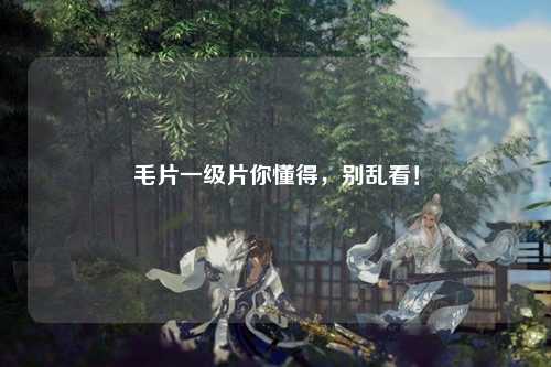 毛片一级片你懂得，别乱看！